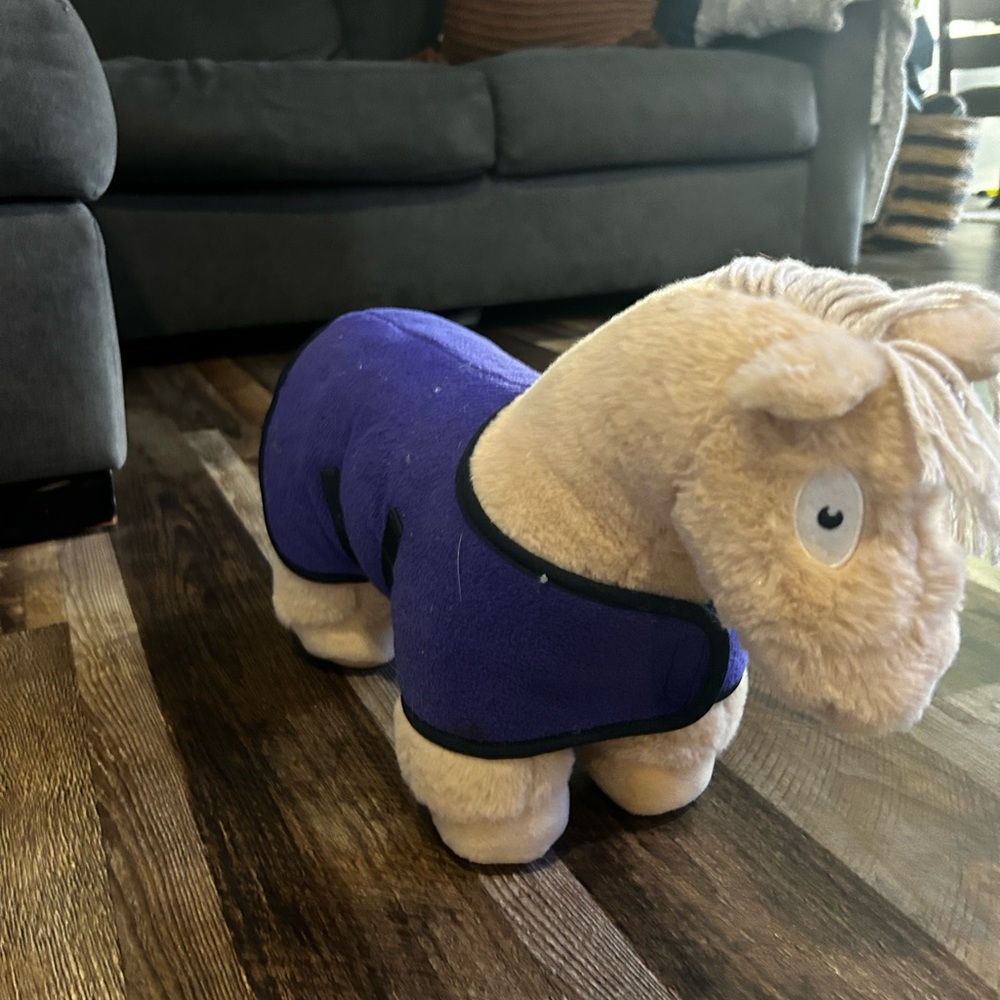CRAFTY PONIES